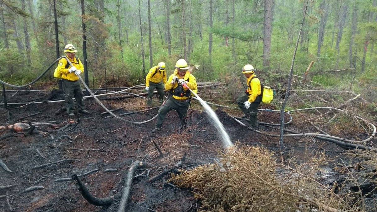 Cinco brigadistas forestales apoyan en incendios en Canadá