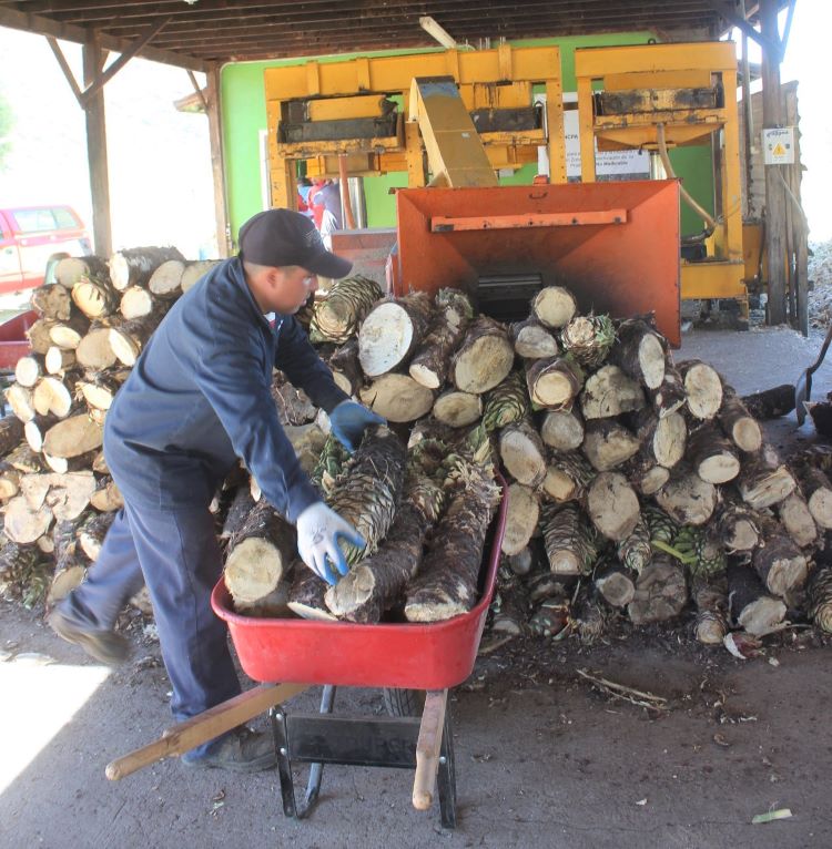 Aprueba CONAFOR cerca de 3 mdp para para el desarrollo forestal sustentable de Baja California