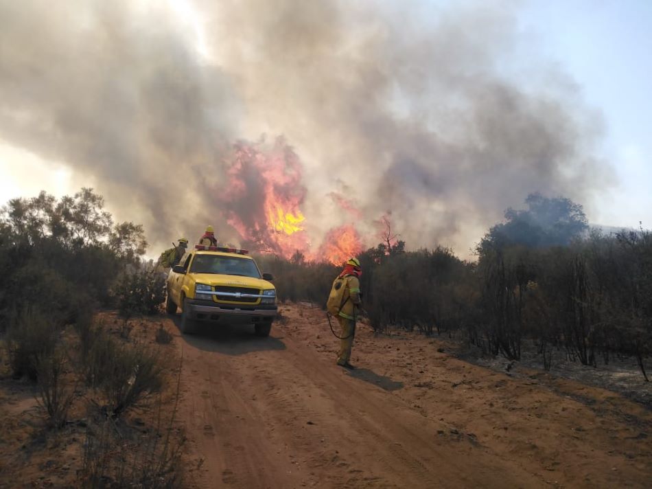 Baja California se prepara ante temporada de incendios forestales