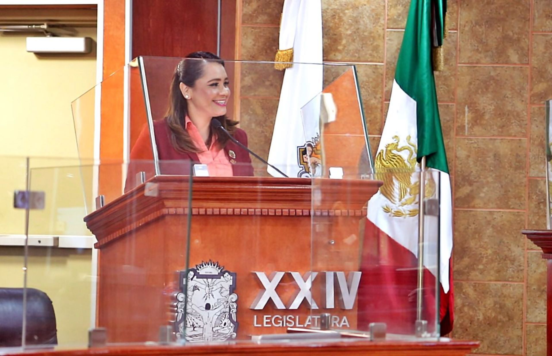 Diputada Ang presenta exhorto en favor de consumidores mexicalenses