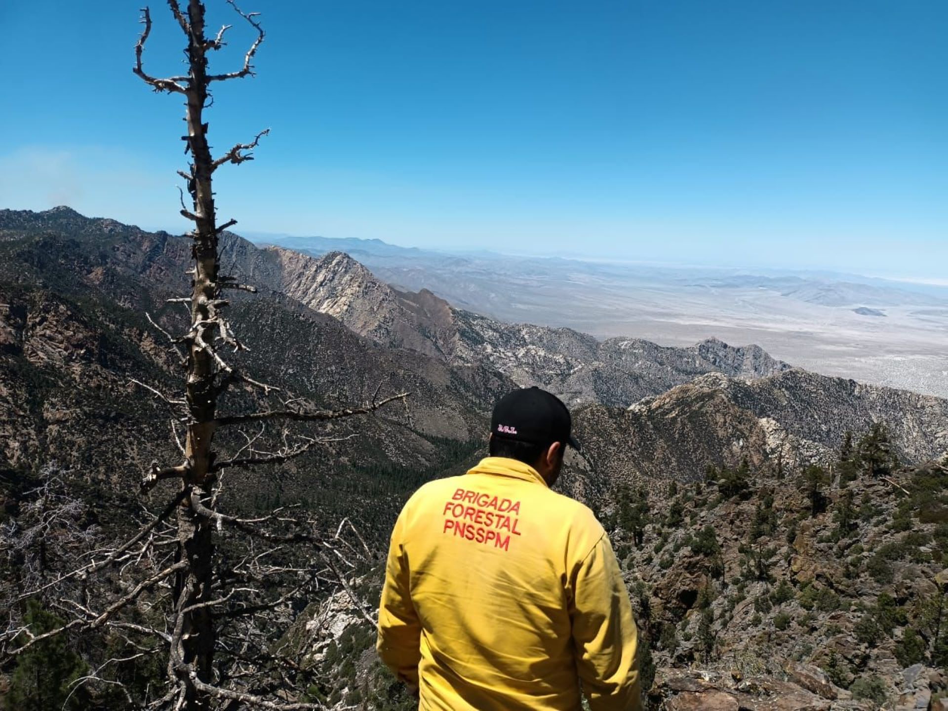 Monitorea SMADS incendio activo en San Pedro Mártir