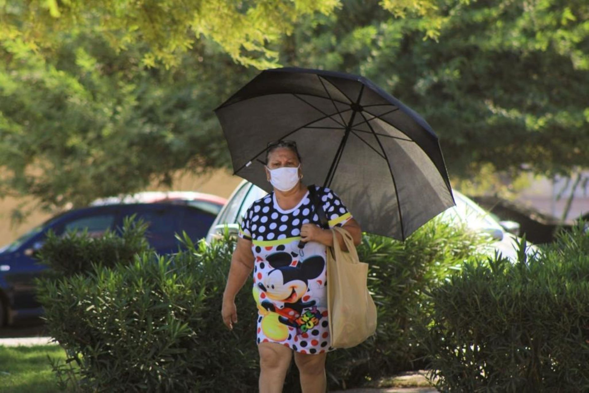 Llama Secretaría de Salud extremar medidas preventivas ante ola de calor