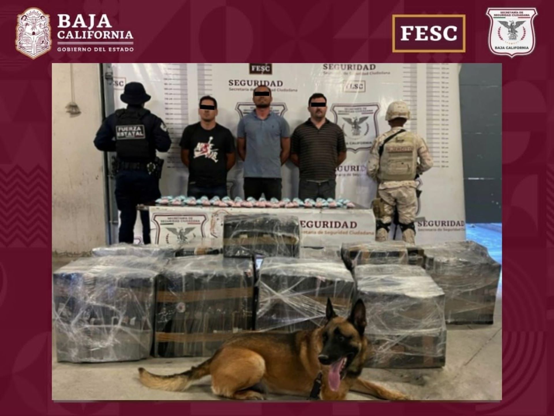 Confiscan FESC y Sedena media tonelada de metanfetamina y más de 60 mil pastillas de fentanilo