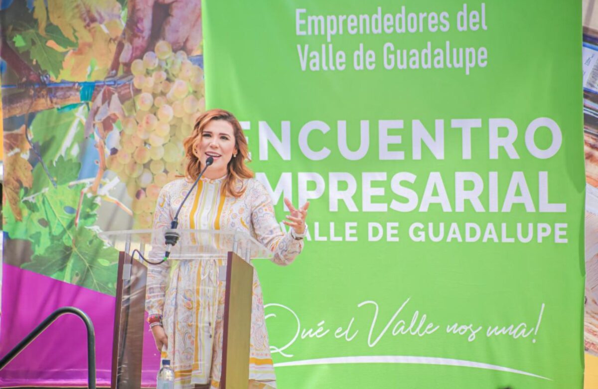 Valle de Guadalupe seguirá siendo referente mundial: Marina del Pilar
