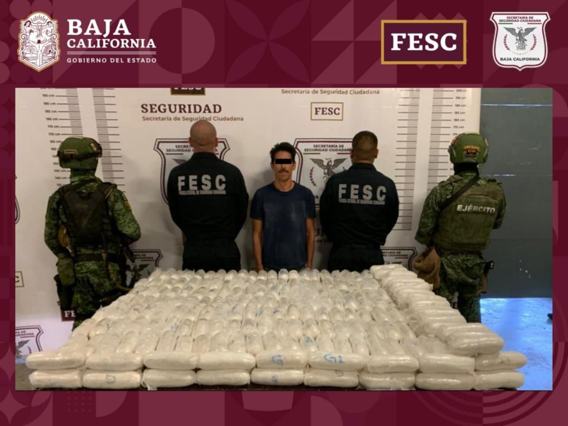 FESC y Sedena confiscan cerca de 200 kilos de metanfetamina; hay un detenido