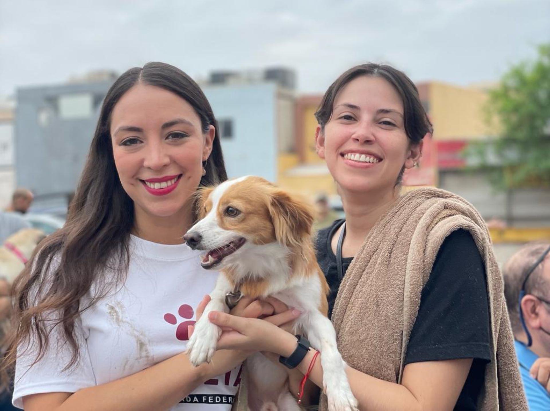 Ahora les toca a ellos, una jornada para cuidar de nuestros animales de compañía: Julieta Ramírez