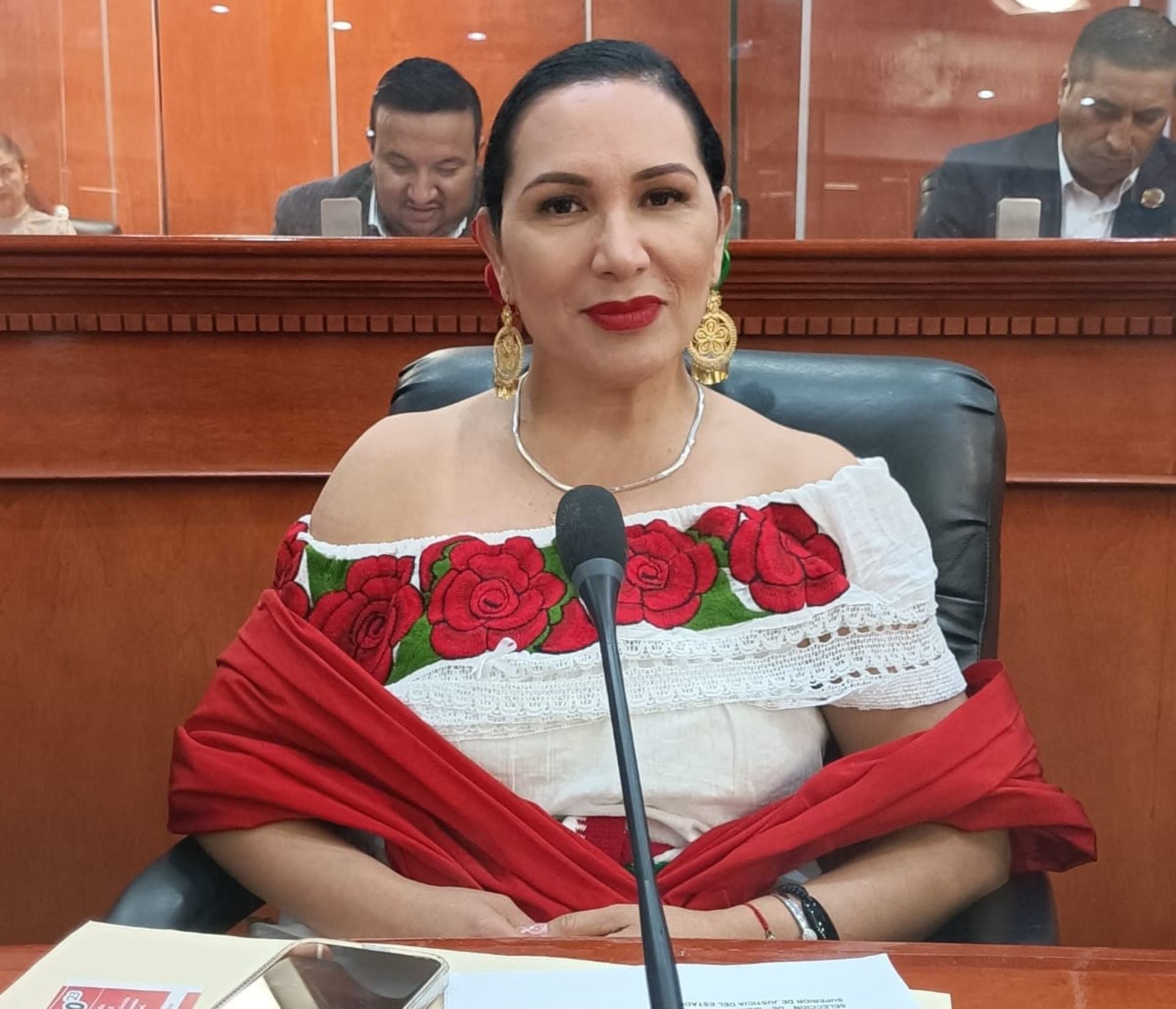 Propone diputada Araceli Geraldo mayor castigo en robos a planteles escolares