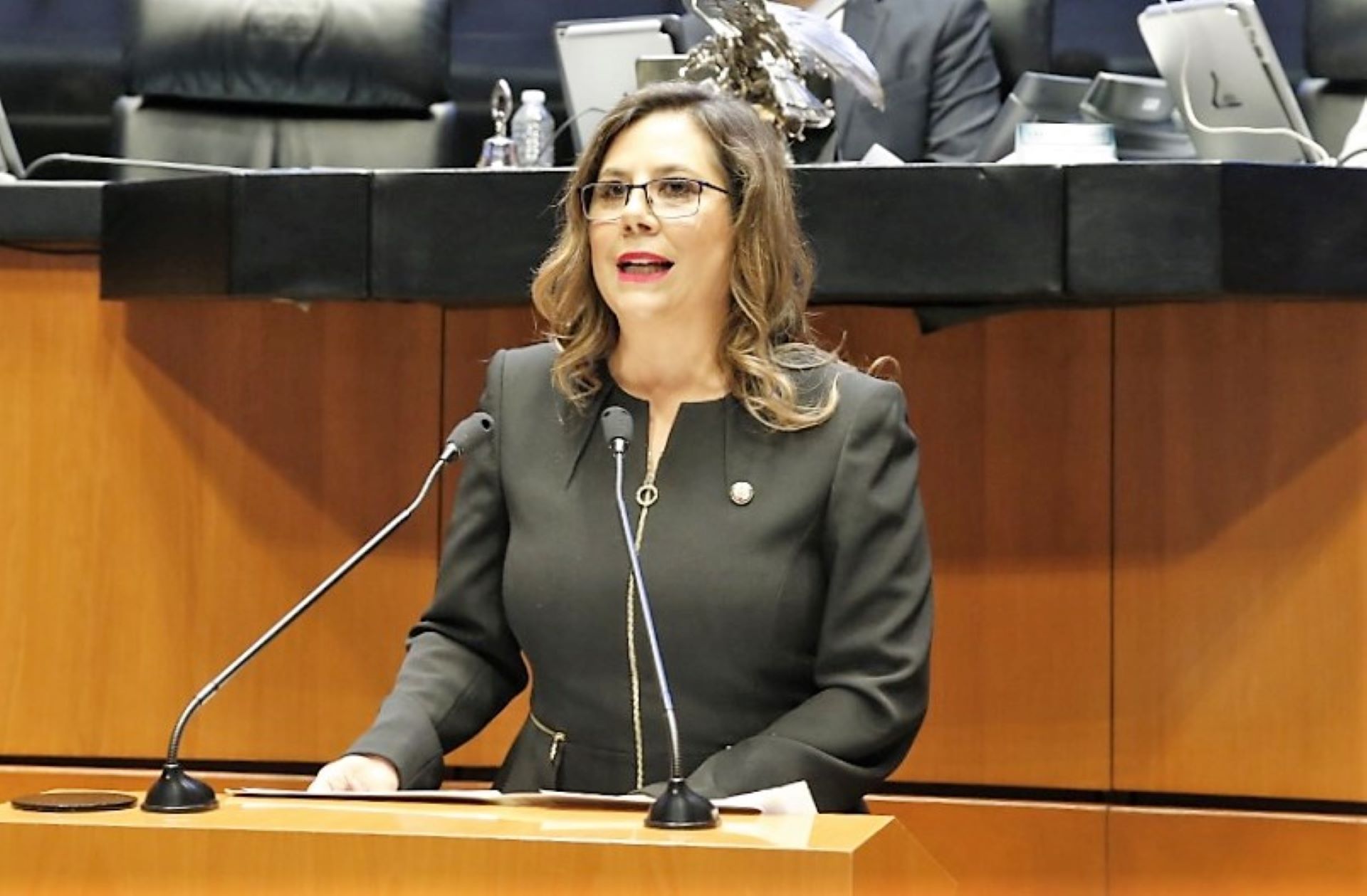 Ante fracaso en política de seguridad el Presidente prefiere militarizar al país: Gina Cruz