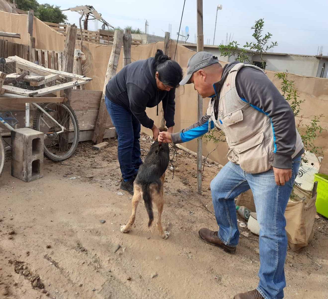 Coordina Secretaría de Salud del estado operativo contra la rickettsia en San Quintín