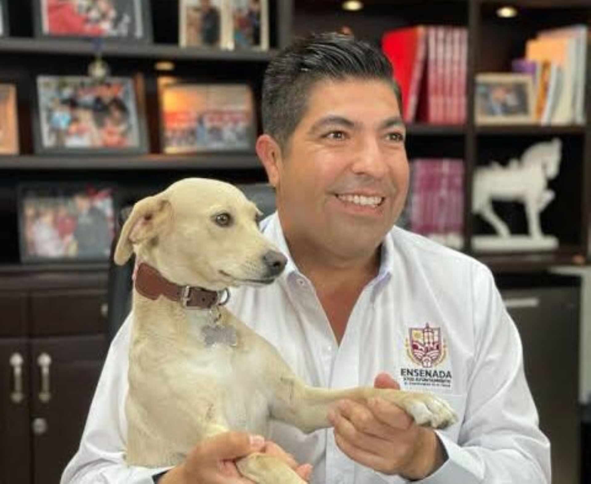 Invita Gobierno de Ensenada al Primer Bazar de Bienestar Animal