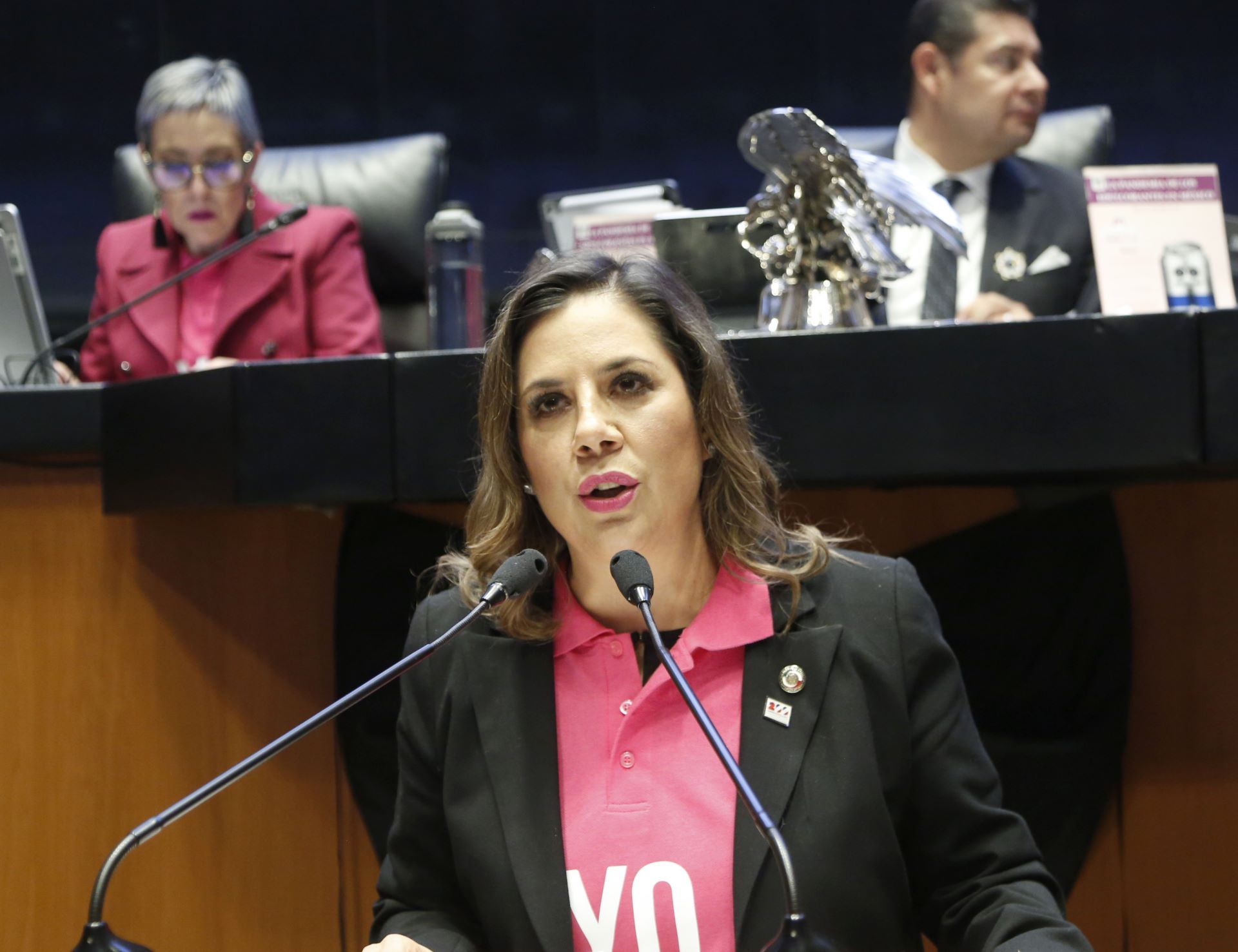 Aprobación del plan B de AMLO es autoritarismo puro: Gina Cruz