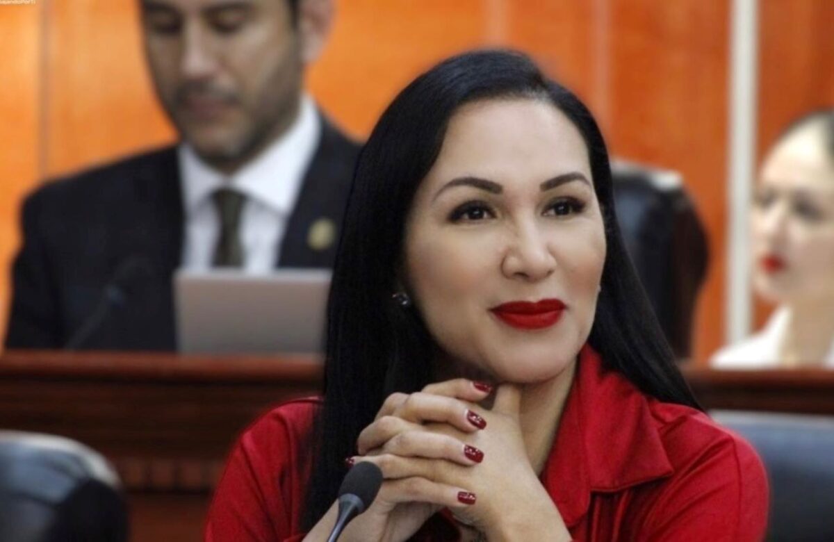 Propone diputada Araceli Geraldo padrón estatal de choferes y conductores del transporte público