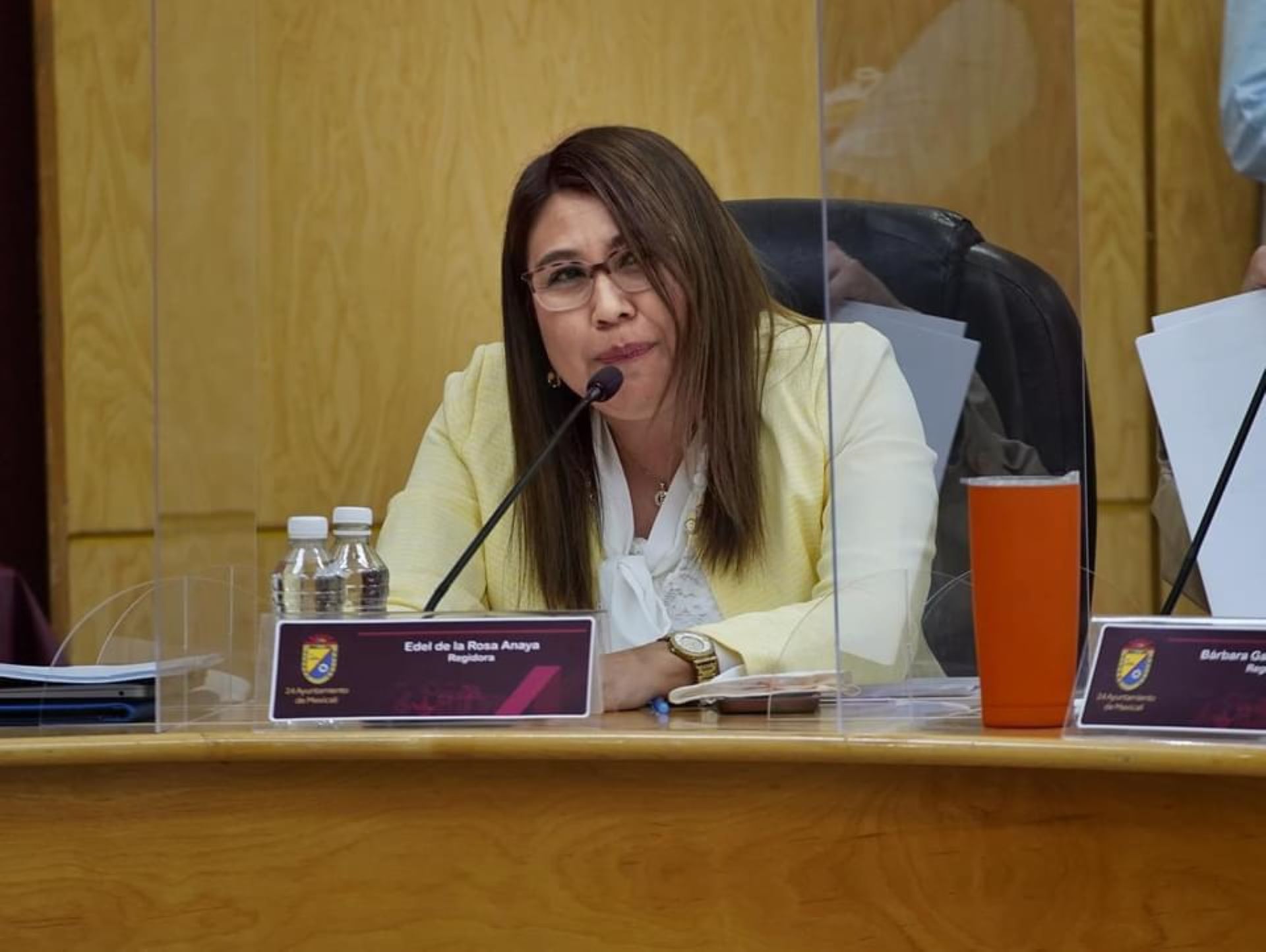 Deben continuar las investigaciones de Sindicatura por malos manejos del FEX
