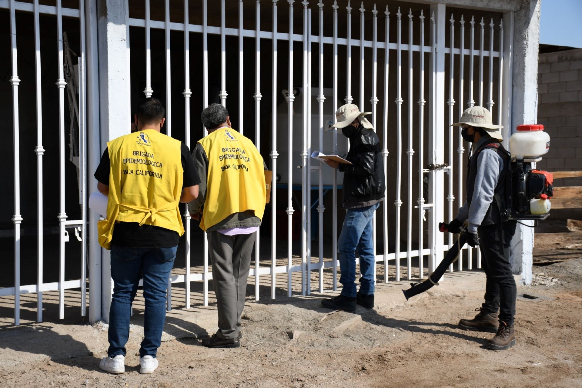 Refuerza Secretaría de Salud acciones contra la rickettsia en colonias de Mexicali