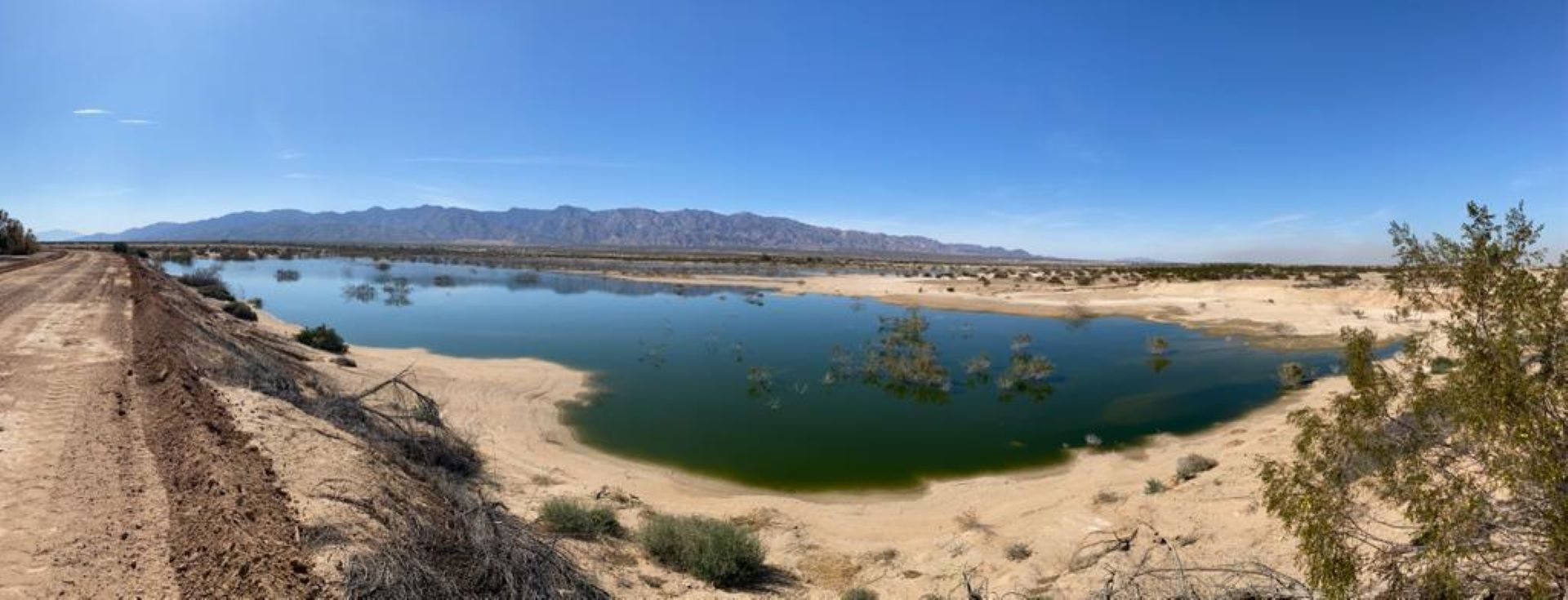 Promueve CESPM conservación de humedales para equilibrio ambiental de Mexicali