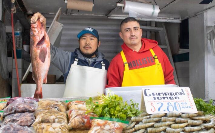 Informa y previene Coepris BC riesgos entre comerciantes de pescados y mariscos
