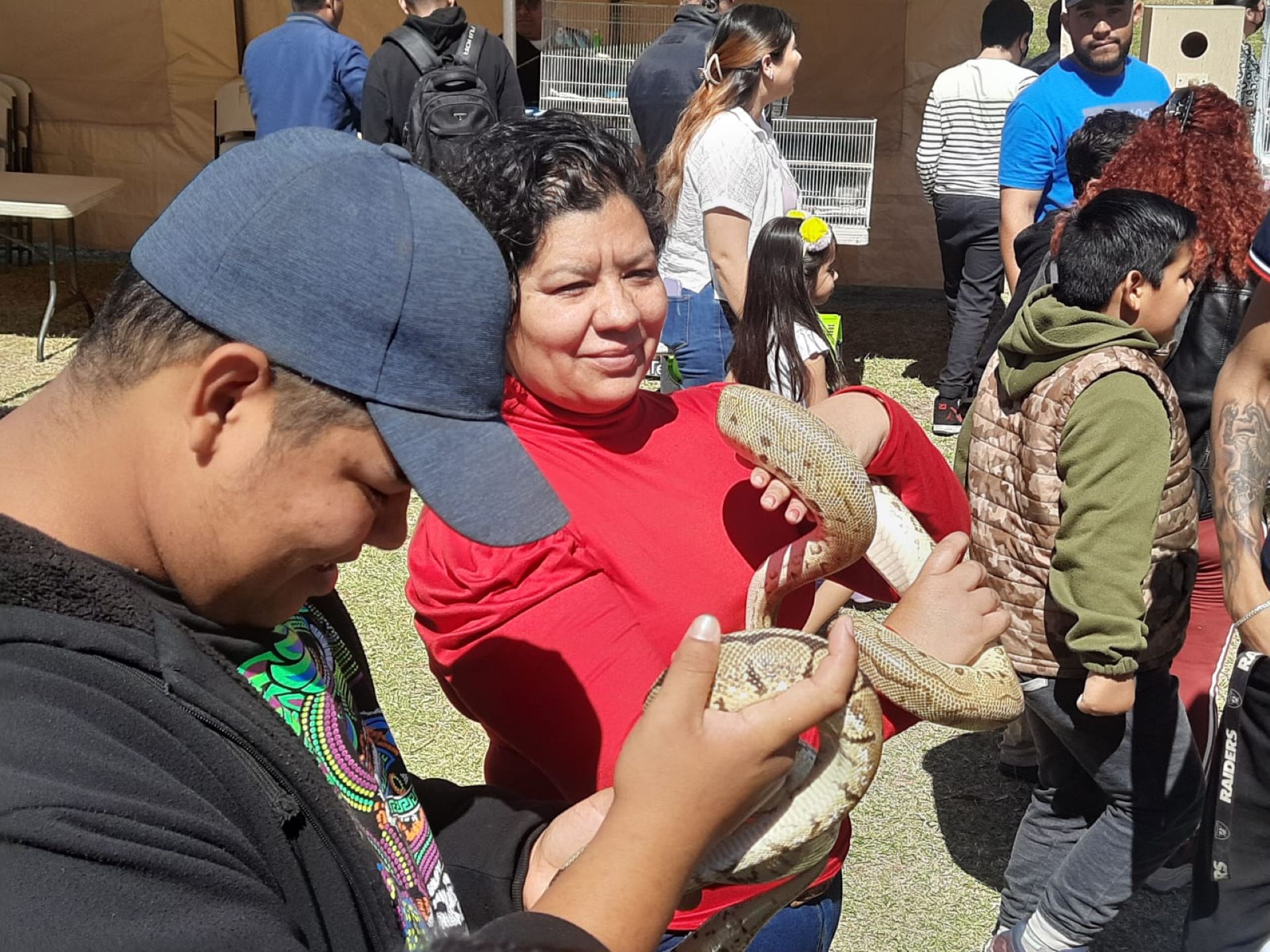 Gozan mexicalenses del festival de aves y mascotas en el parque Vicente Guerrero