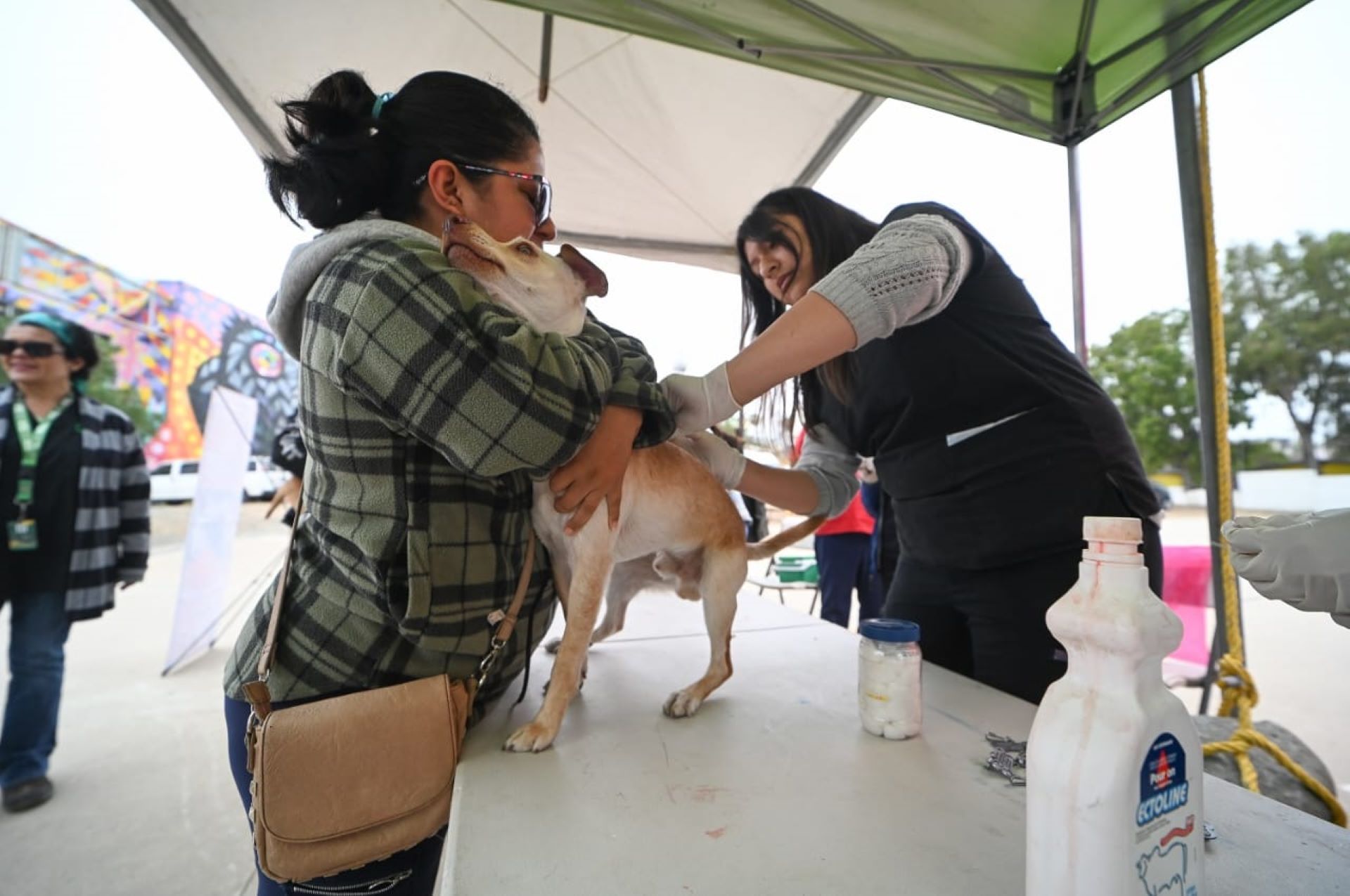 Realiza UABC brigada de salud y servicios en Rosarito