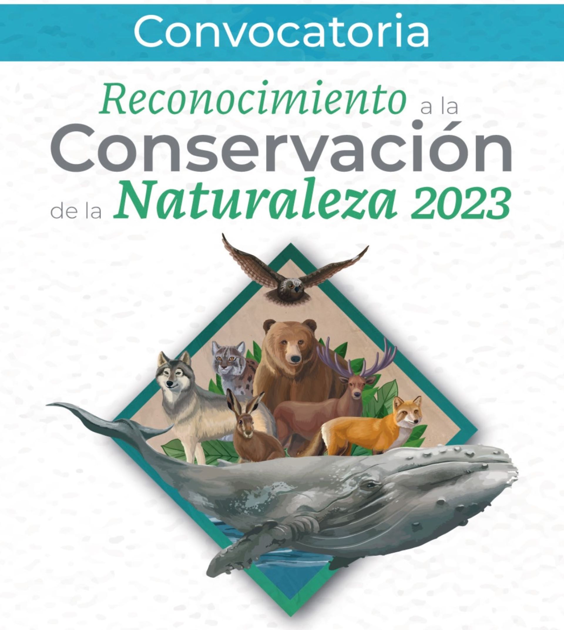 Se abre convocatoria para participar en el Reconocimiento a la Conservación de la Naturaleza 2023