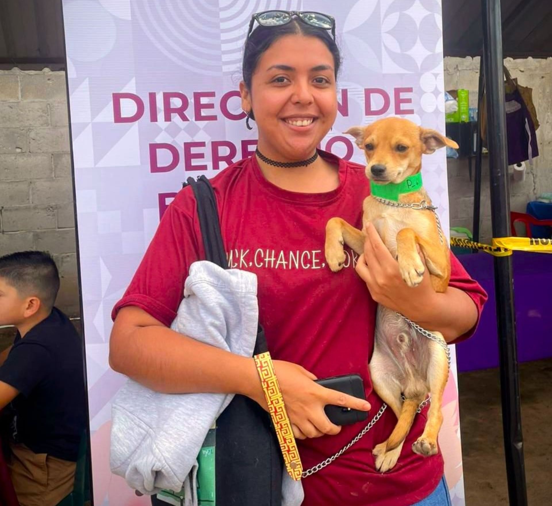 Realizan SMADS y Asociación Civil 4 patas campaña de esterilización para perros y gatos en Ensenada