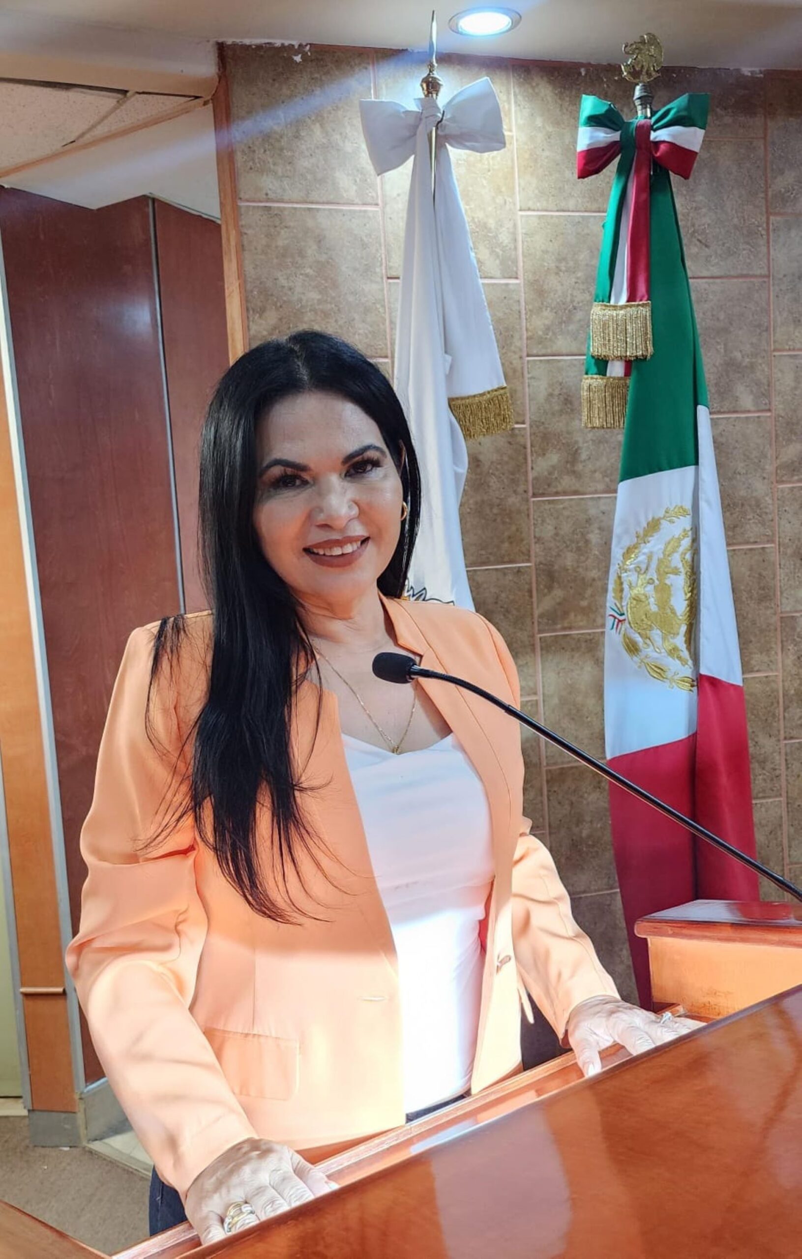 Diputada Alejandrina Corral propone reformas a la Ley de Responsabilidades Administrativas