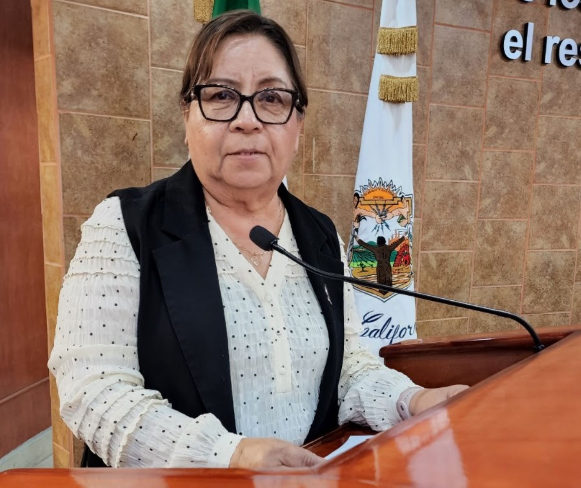 Presenta Dip. Gloria Miramontes dos reformas a Ley en beneficio de la niñez