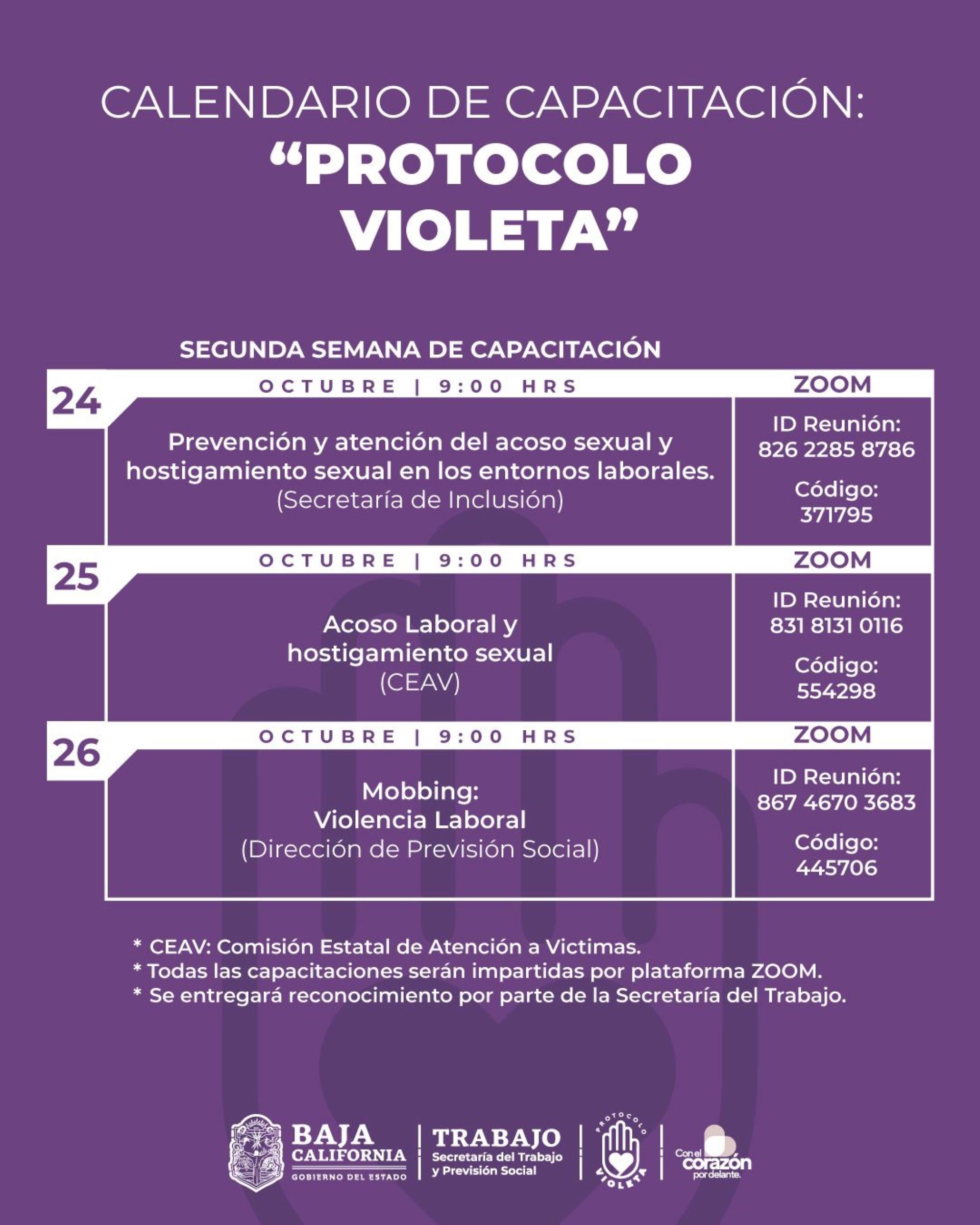 Avanza protocolo violeta con programa de capacitación: Arregui