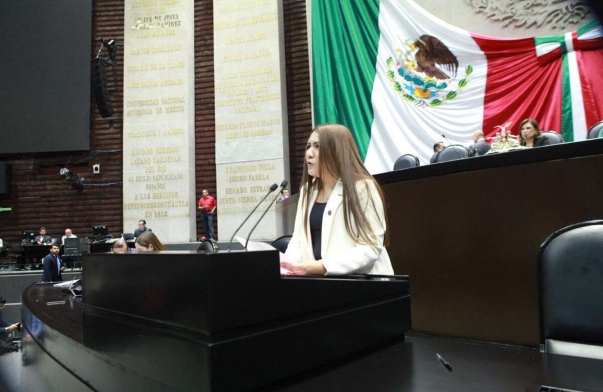 Diputada Leslie Estefanía Rodríguez Sarabia denuncia mega endeudamiento de presupuesto de egresos de la federación para el ejercicio fiscal 2024