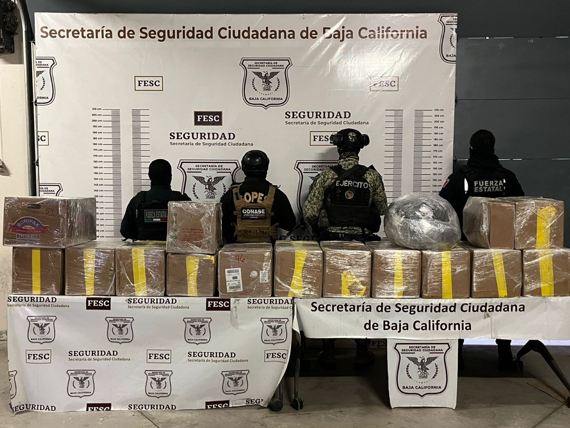 Confiscan Fuerza Estatal y Sedena más de 300 kg de metanfetamina y más de 40 kg de cocaína