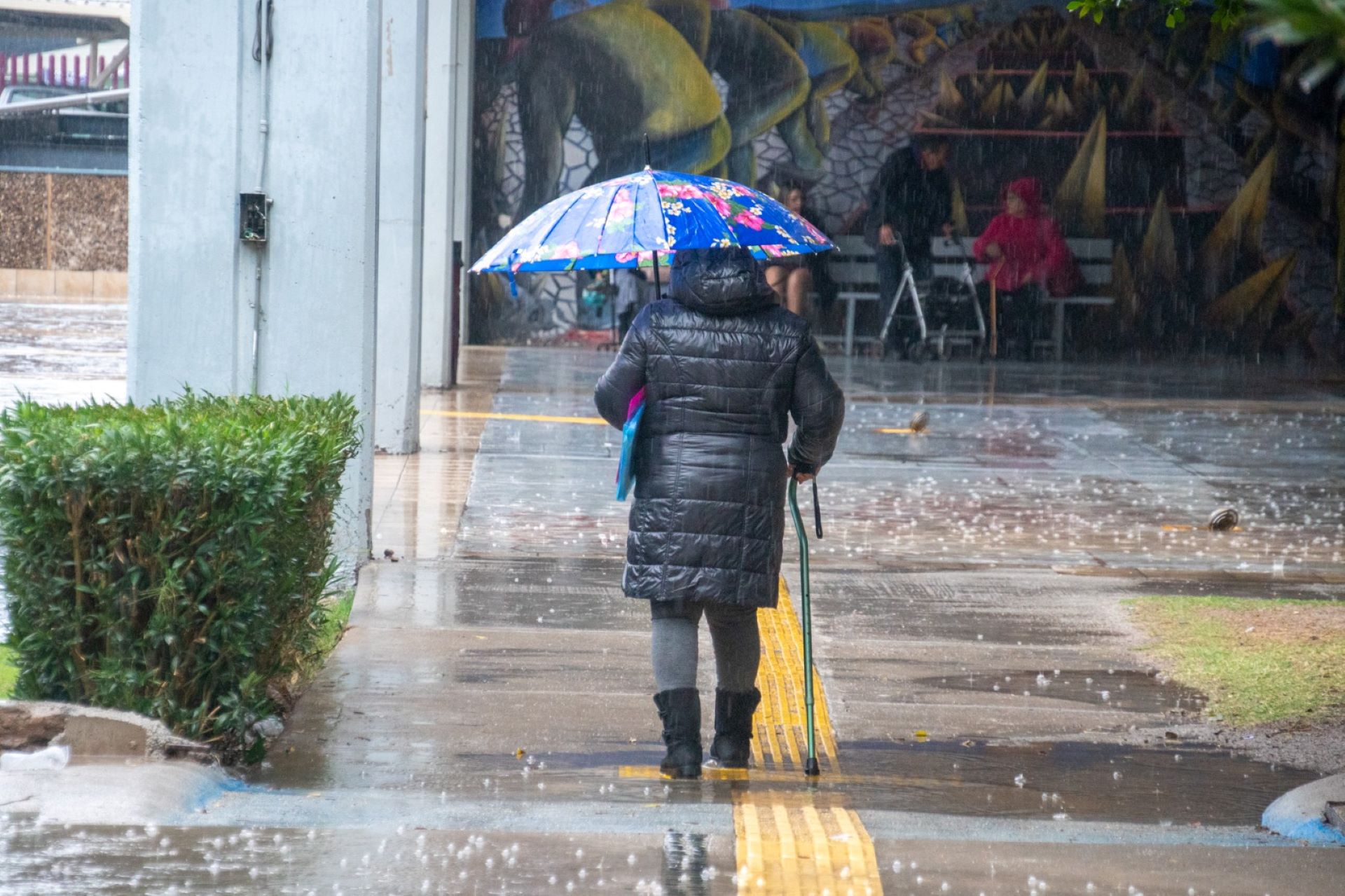 Emite Salud recomendaciones ante el pronóstico de lluvias