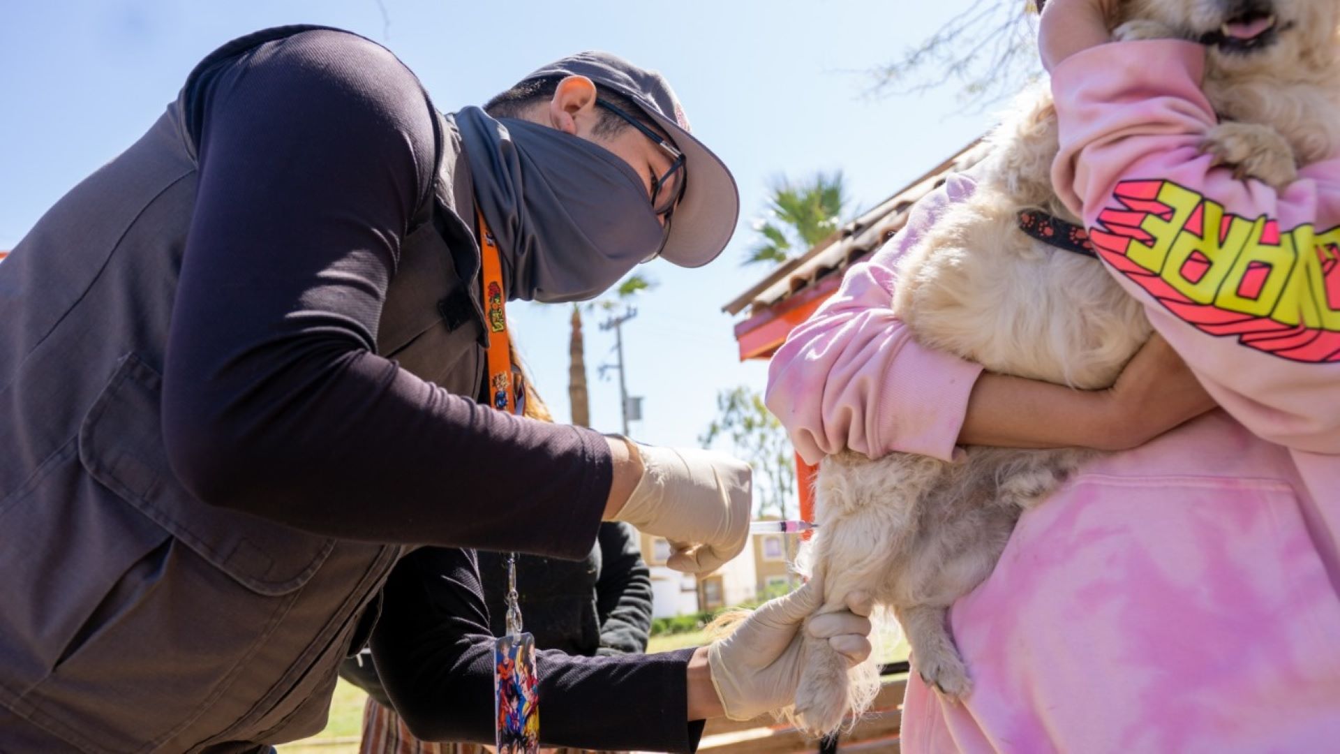 Invita la JSM a participar en las jornadas gratuitas de vacunación antirrábica canina y felina