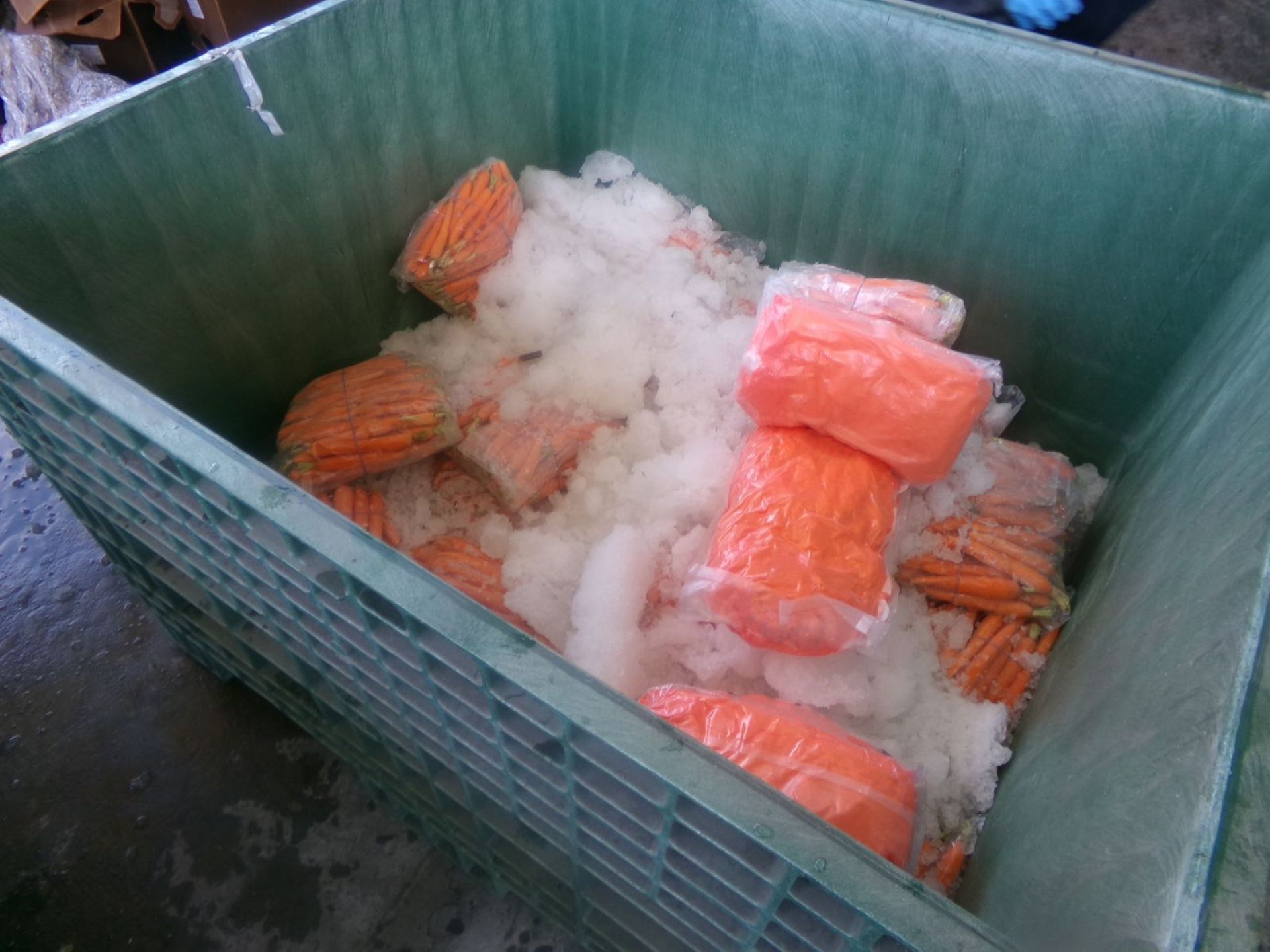 Agentes de CBP realizan un decomiso masivo de metanfetamina escondida en un cargamento de zanahorias