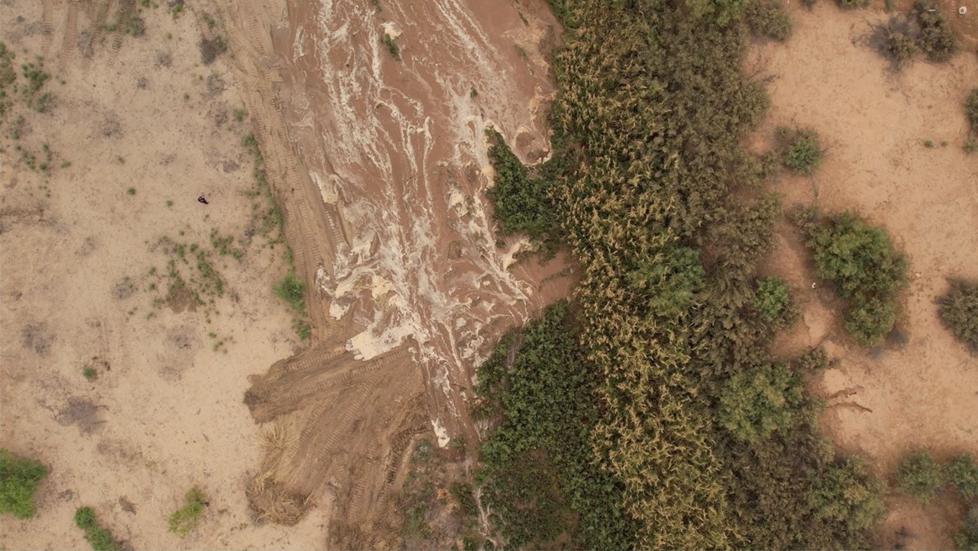 Entregas estratégicas de agua benefician a las comunidades y al ambiente del Delta del Río Colorado