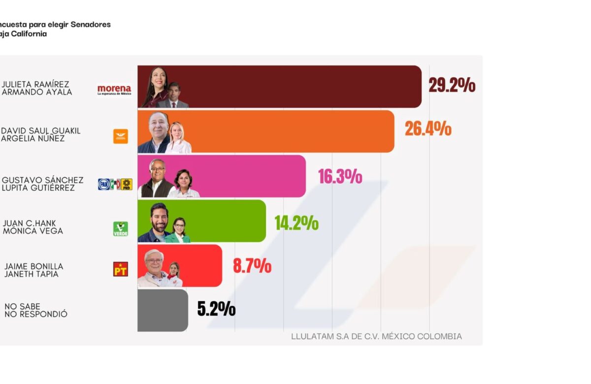 Ya hay tendencia en la elección de senadores para BC; Se consolida David Saul Guakil, en segunda posición:  Llulatam