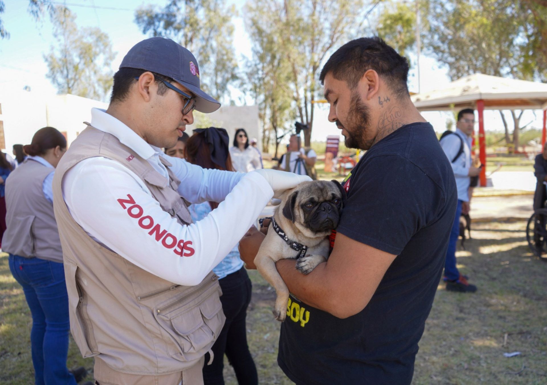 Invita Jurisdicción de Servicios de Salud a participar en jornada de vacunación antirrábica casa por casa en Mexicali