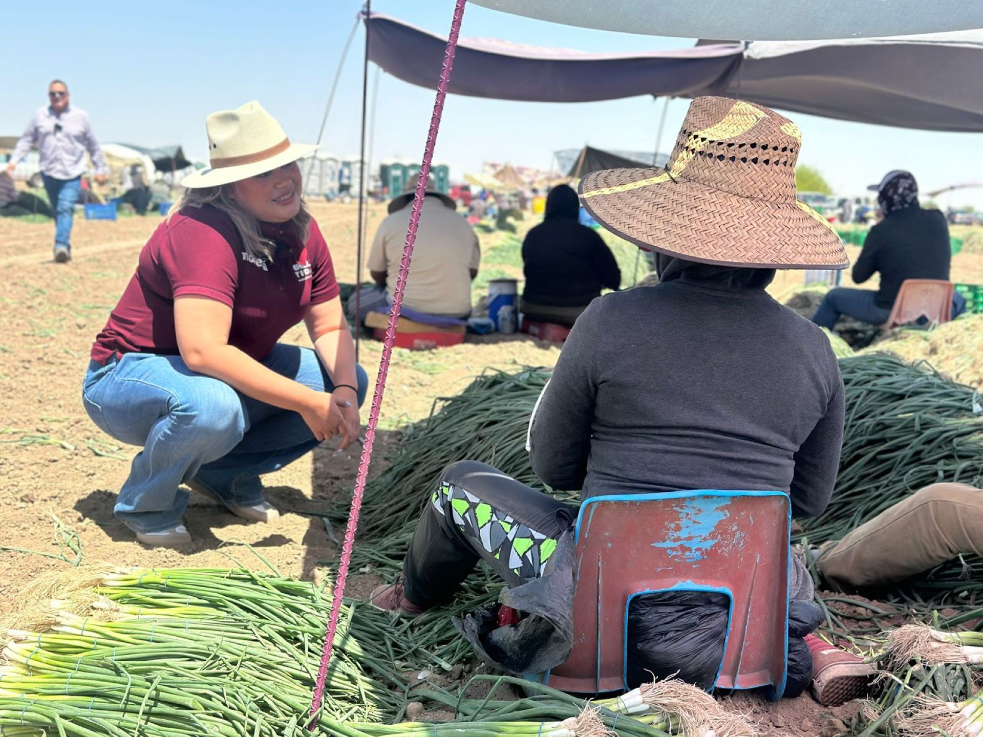 Michelle Tejeda reconoce a los trabajadores del campo en el Valle de Mexicali