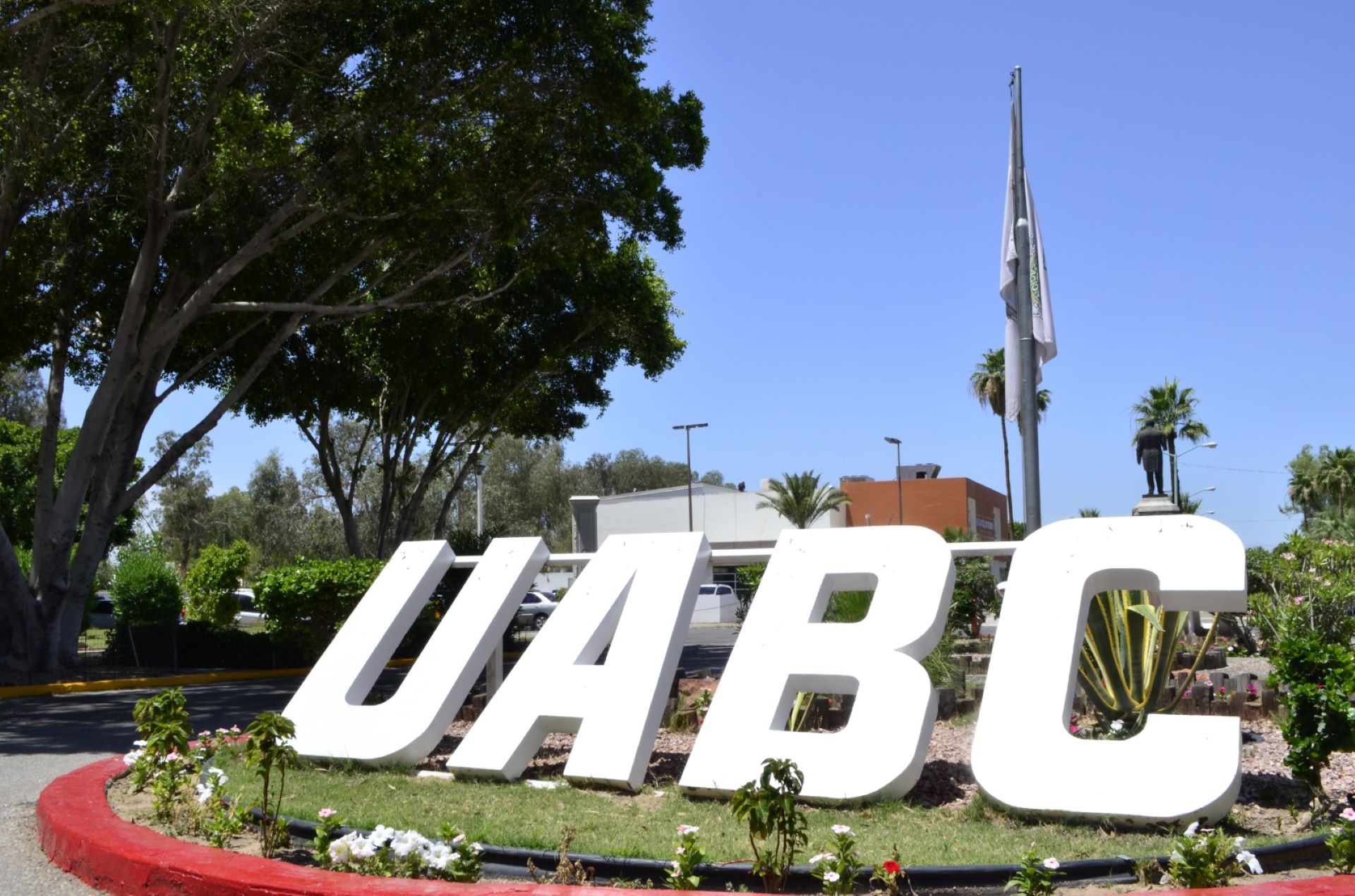 La UABC ofrecerá su primer programa de licenciatura en línea