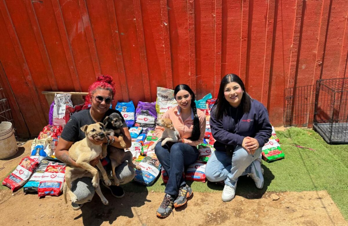 Visita Caliente ayuda a mascotas en abandono