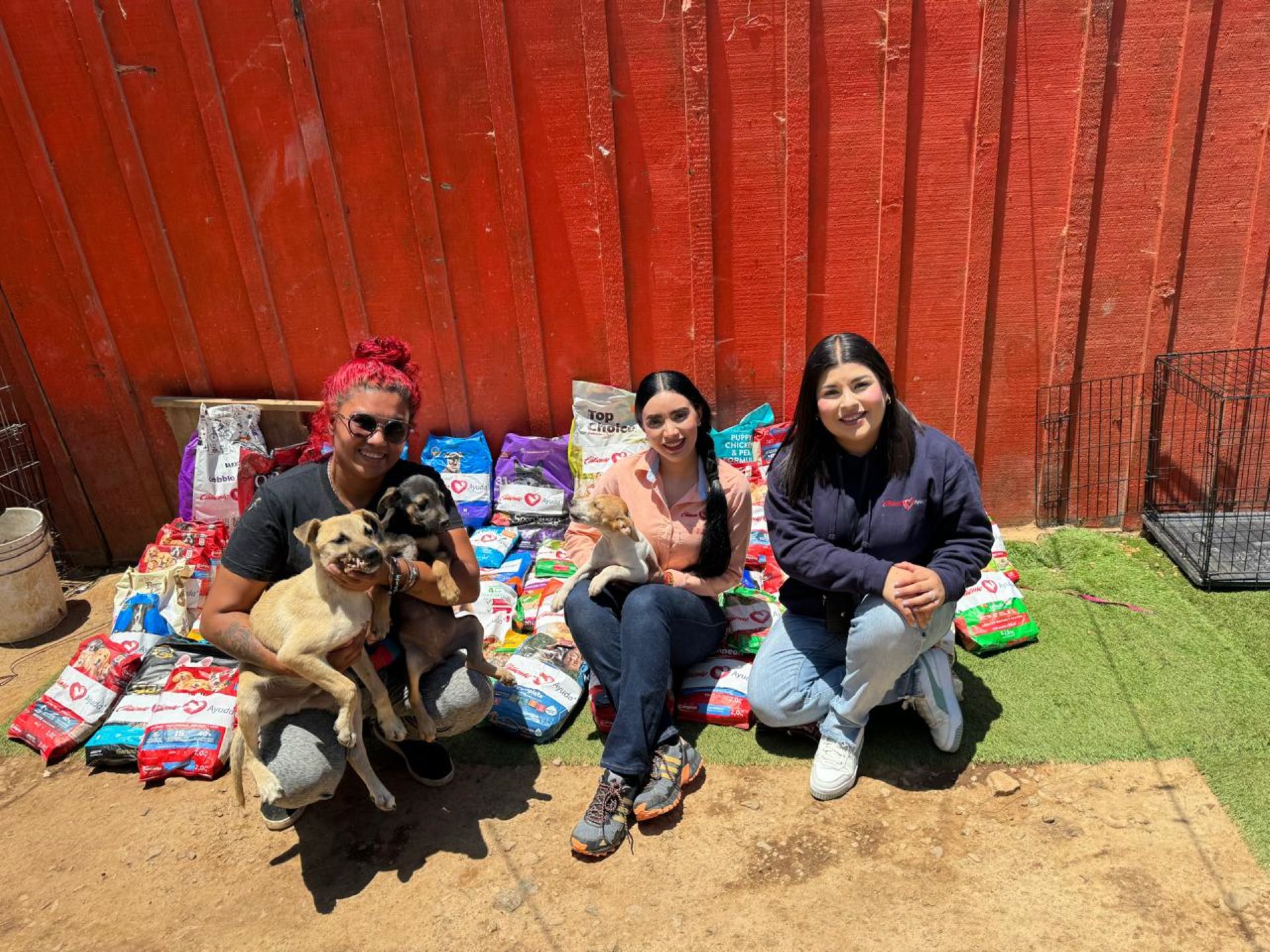 Visita Caliente ayuda a mascotas en abandono