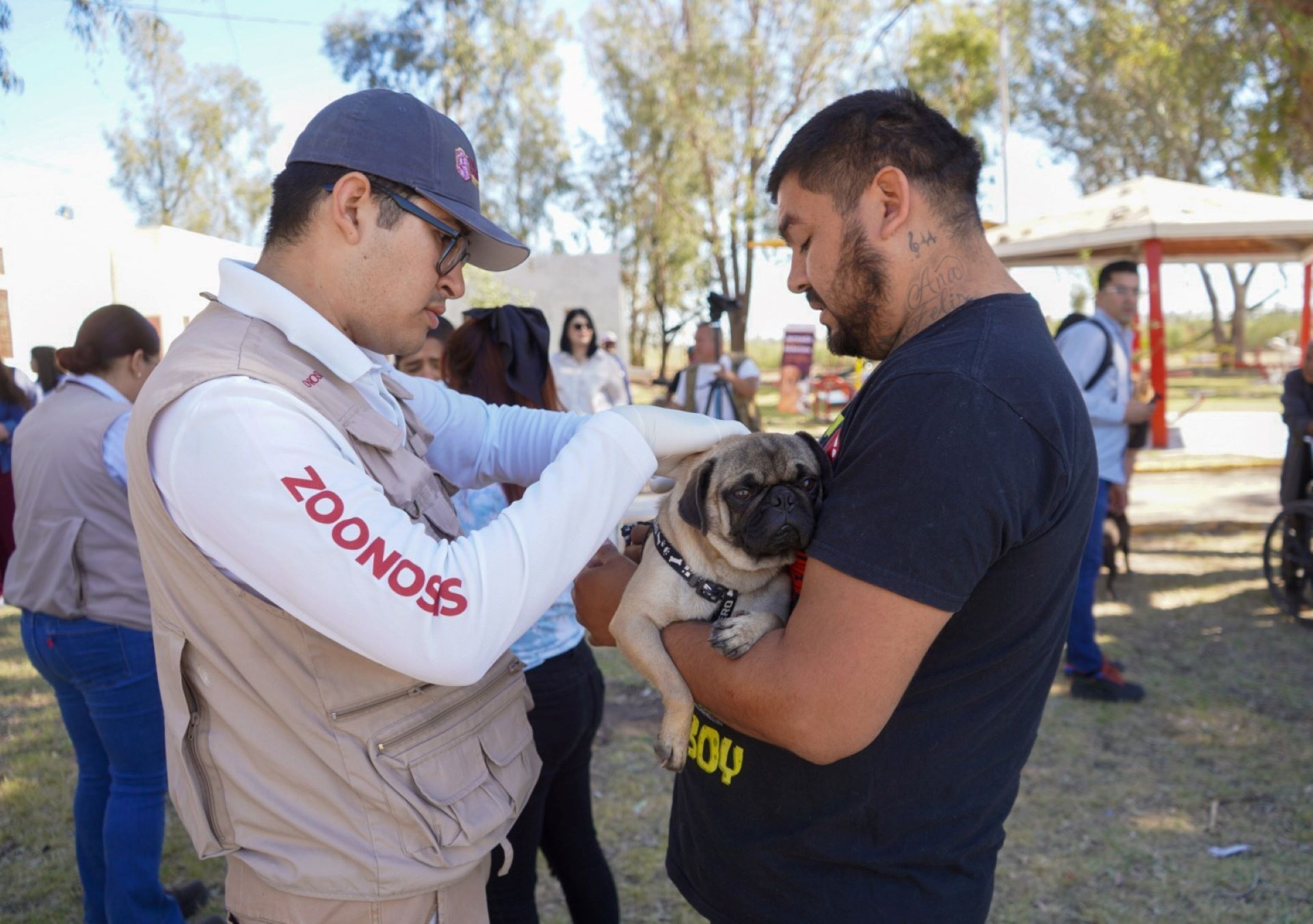 Invita Secretaría de Salud a participar en jornada de vacunación antirrábica casa por casa en Villa Florida y Condesa