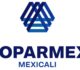 COPARMEX MEXICALI observa un proceso electoral opaco, con poca participación y con un modelo que no debe repetirse