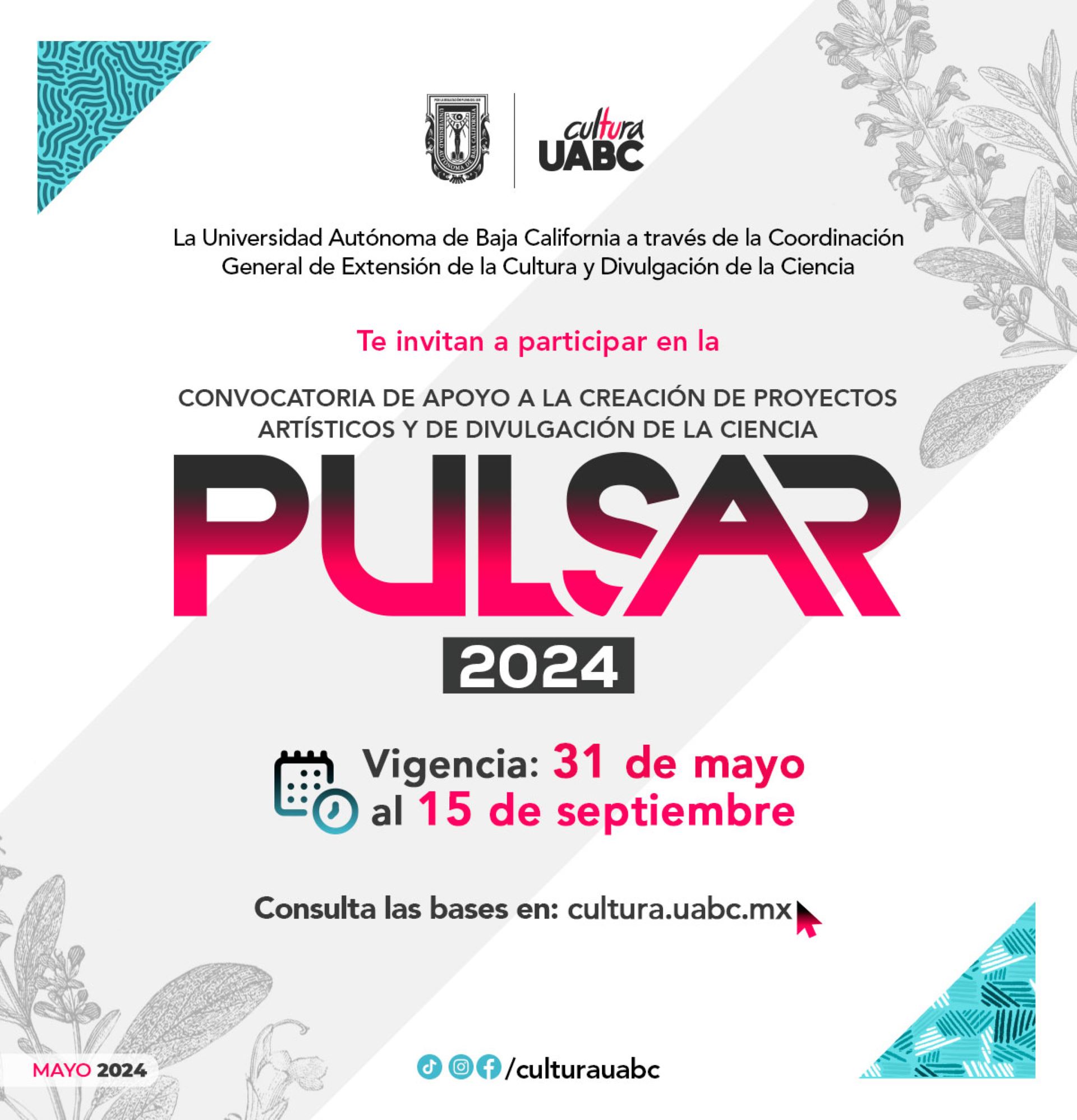 Ya está disponible la edición 2024 de la convocatoria PULSAR