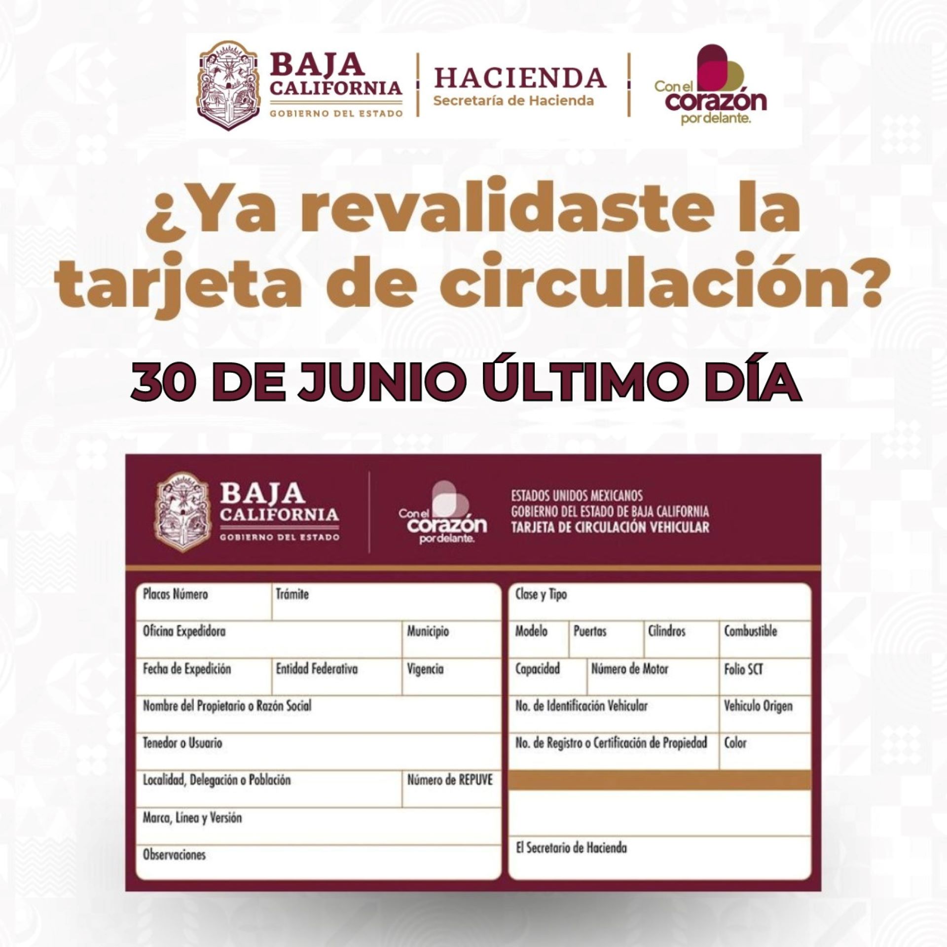 Vence plazo el 30 de junio para renovar tarjeta de circulación