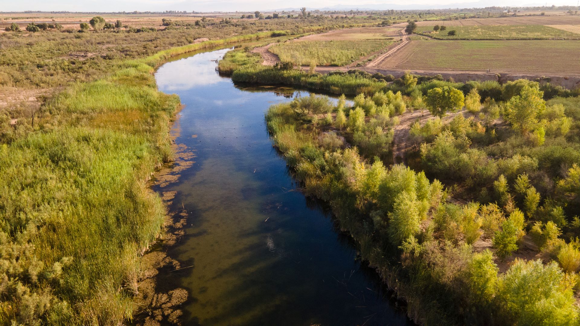 El Delta del Río Colorado reverdece: un regalo para el Día del Río Colorado