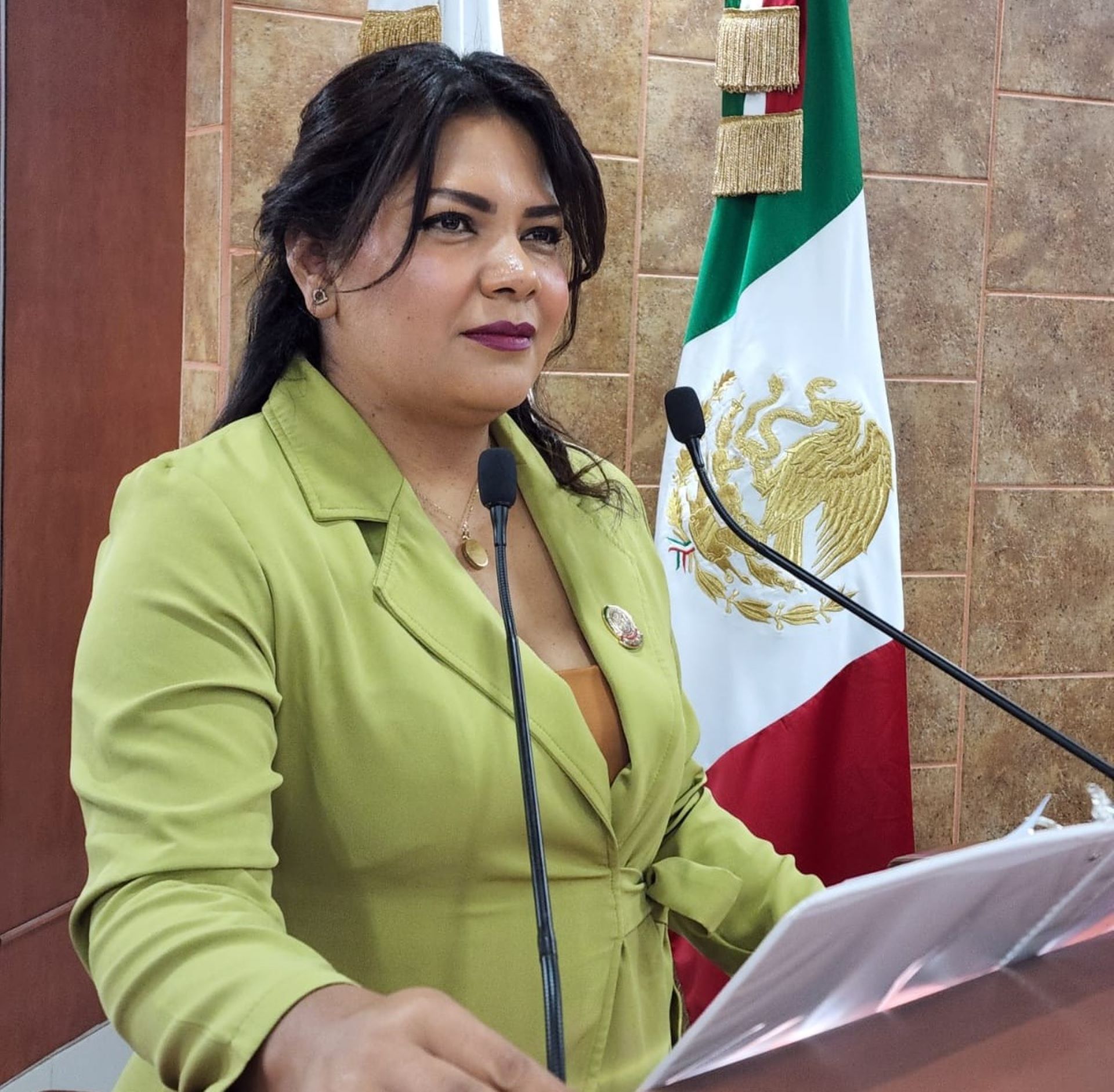 Presenta Dip. Montse Murillo iniciativa ciudadana en materia de discapacidad