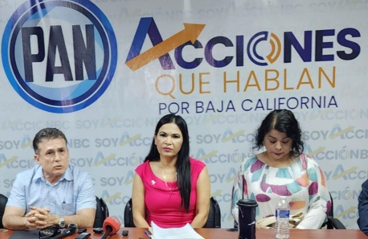 Respalda el grupo parlamentario del PAN iniciativa ciudadana de protección a la infancia