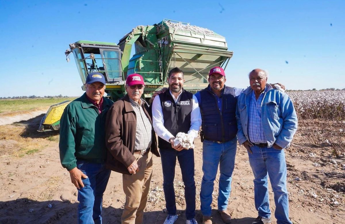 Gestionará  Armando Ayala apoyos para productores de algodón del Estado