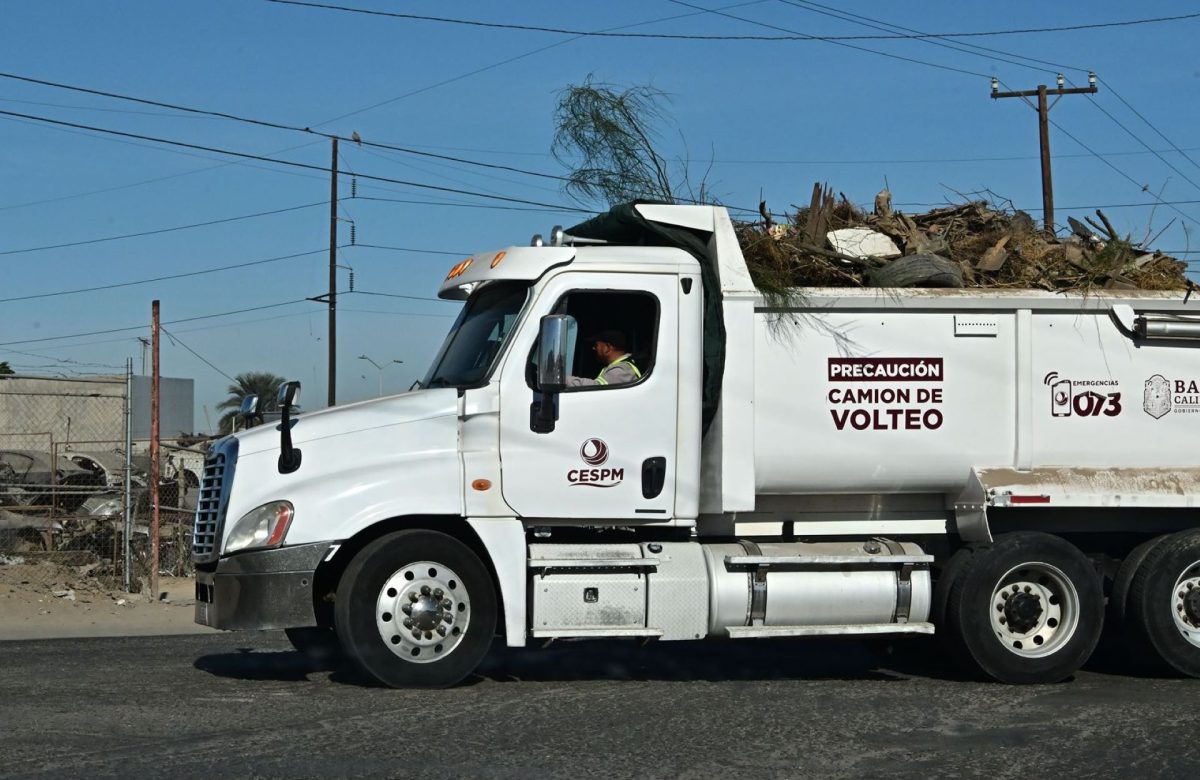 CESPM reanuda el ciclo de jornadas de servicios en la colonia 18 de Marzo