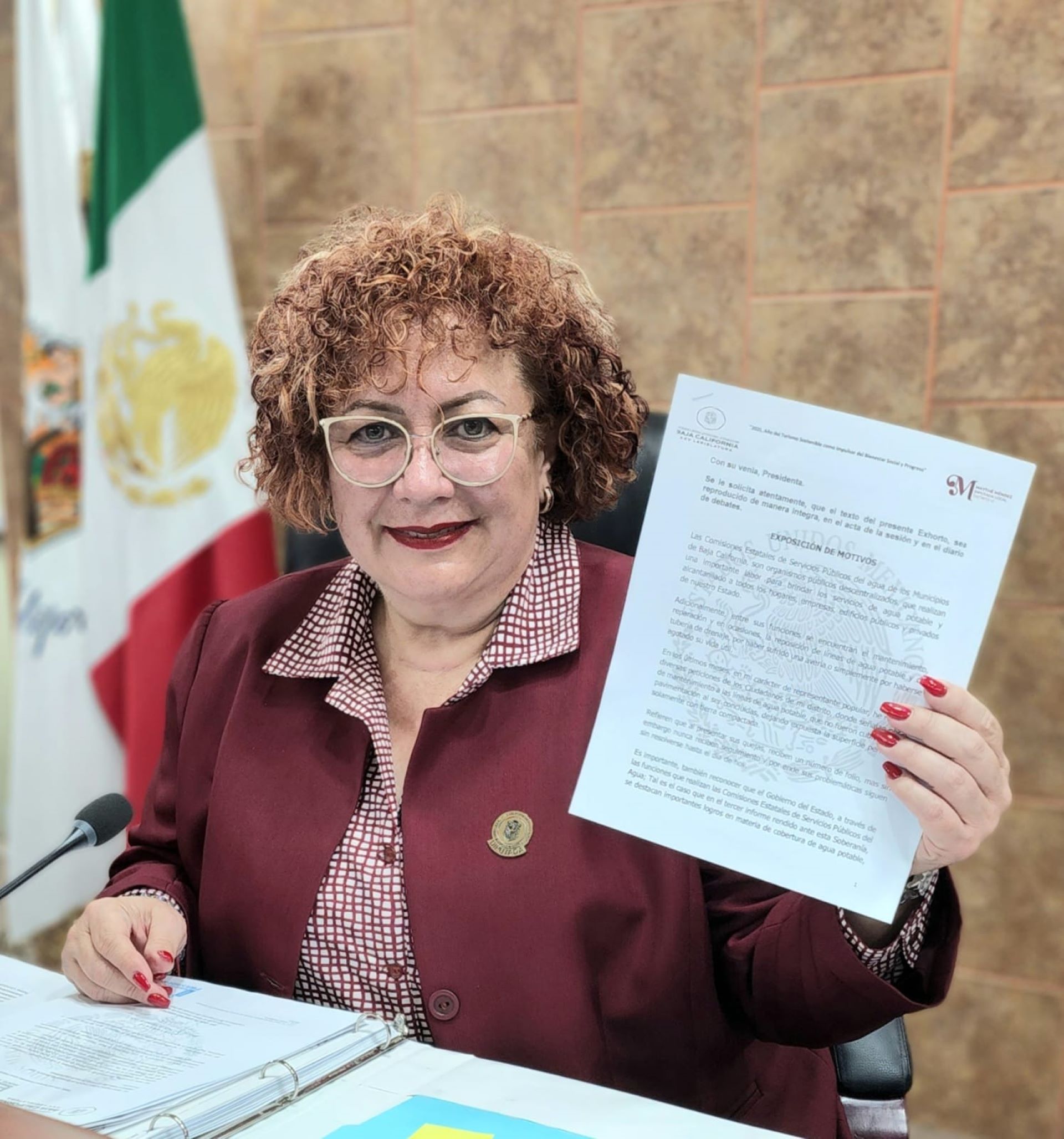 Solicita Dip. Maythé Méndez difusión de mecanismos de denuncia en portales gubernamentales