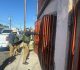 Realiza Fiscalía cateo por denuncia de crueldad animal en Valle Dorado